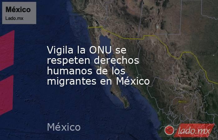 Vigila la ONU se respeten derechos humanos de los migrantes en México. Noticias en tiempo real