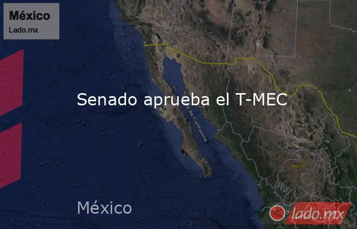 Senado aprueba el T-MEC. Noticias en tiempo real