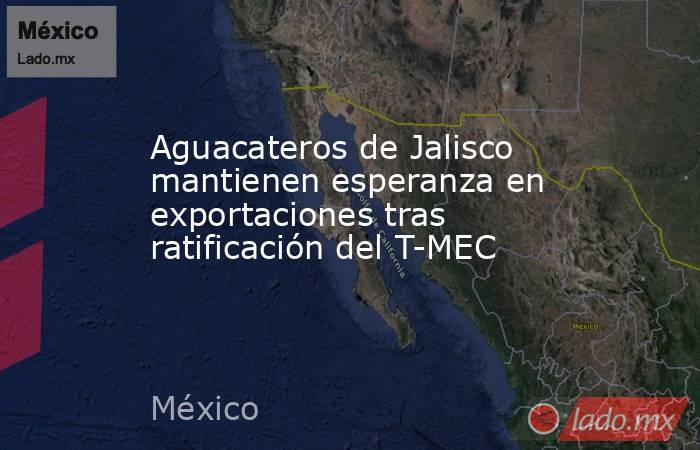 Aguacateros de Jalisco mantienen esperanza en exportaciones tras ratificación del T-MEC. Noticias en tiempo real