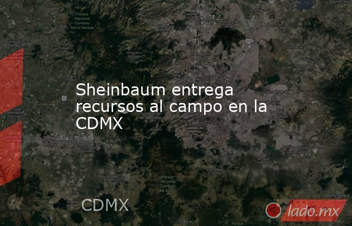 Sheinbaum entrega recursos al campo en la CDMX. Noticias en tiempo real