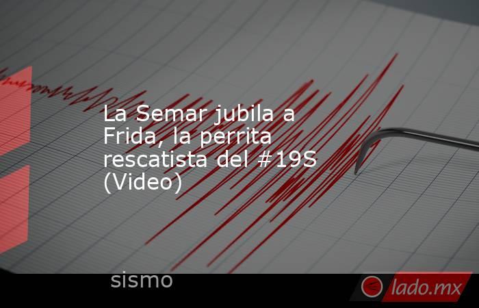 La Semar jubila a Frida, la perrita rescatista del #19S (Video). Noticias en tiempo real