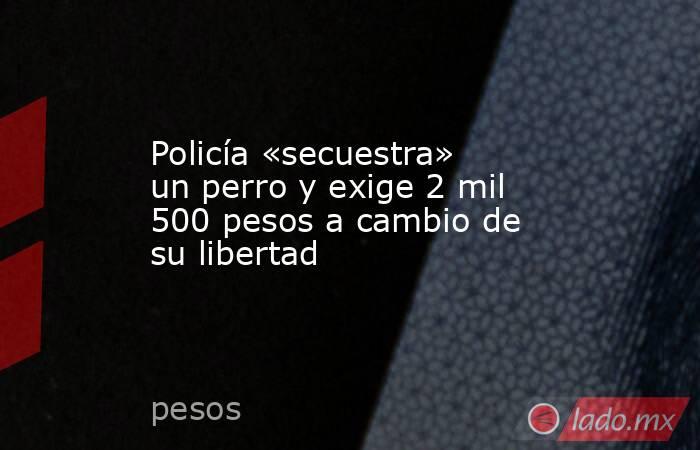 Policía «secuestra» un perro y exige 2 mil 500 pesos a cambio de su libertad. Noticias en tiempo real