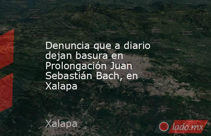 Denuncia que a diario dejan basura en Prolongación Juan Sebastián Bach, en Xalapa. Noticias en tiempo real