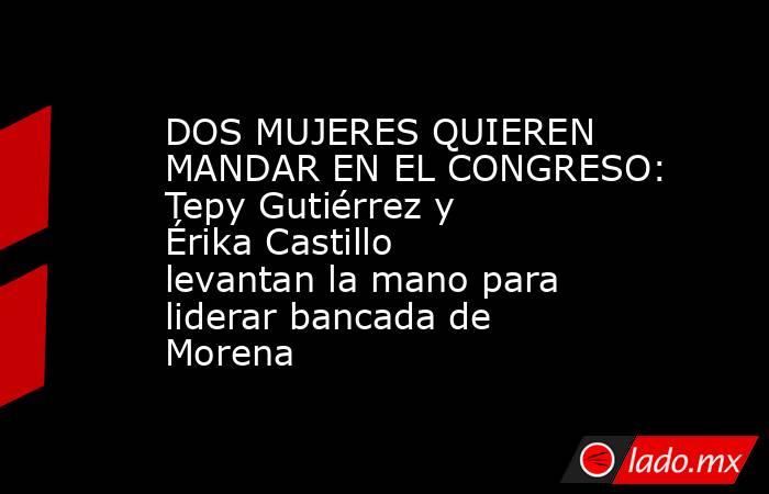 DOS MUJERES QUIEREN MANDAR EN EL CONGRESO: Tepy Gutiérrez y Érika Castillo levantan la mano para liderar bancada de Morena. Noticias en tiempo real