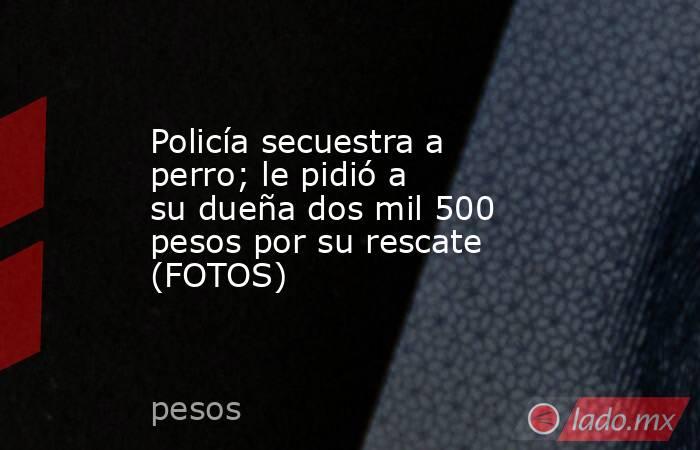 Policía secuestra a perro; le pidió a su dueña dos mil 500 pesos por su rescate (FOTOS)
. Noticias en tiempo real