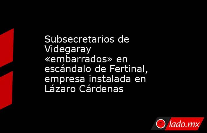 Subsecretarios de Videgaray «embarrados» en escándalo de Fertinal, empresa instalada en Lázaro Cárdenas. Noticias en tiempo real