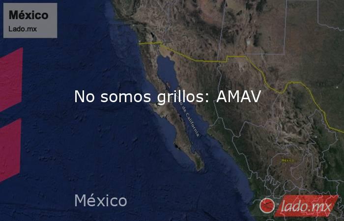 No somos grillos: AMAV. Noticias en tiempo real