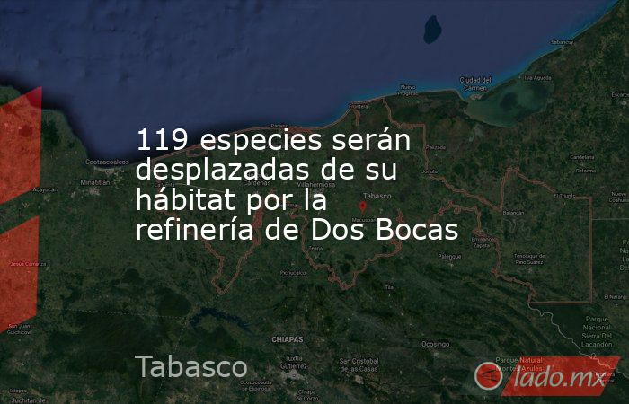 119 especies serán desplazadas de su hábitat por la refinería de Dos Bocas. Noticias en tiempo real