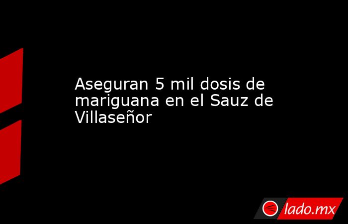 Aseguran 5 mil dosis de mariguana en el Sauz de Villaseñor. Noticias en tiempo real