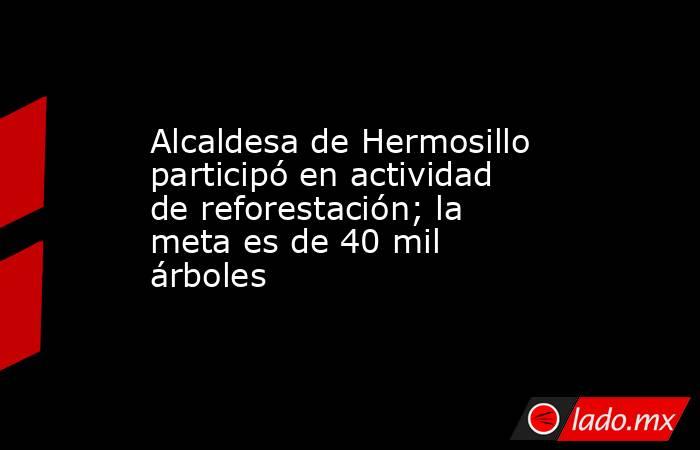 Alcaldesa de Hermosillo participó en actividad de reforestación; la meta es de 40 mil árboles. Noticias en tiempo real