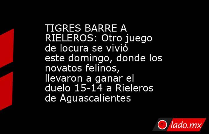 TIGRES BARRE A RIELEROS: Otro juego de locura se vivió este domingo, donde los novatos felinos, llevaron a ganar el duelo 15-14 a Rieleros de Aguascalientes. Noticias en tiempo real