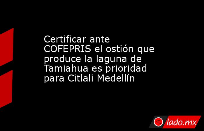 Certificar ante COFEPRIS el ostión que produce la laguna de Tamiahua es prioridad para Citlali Medellín. Noticias en tiempo real