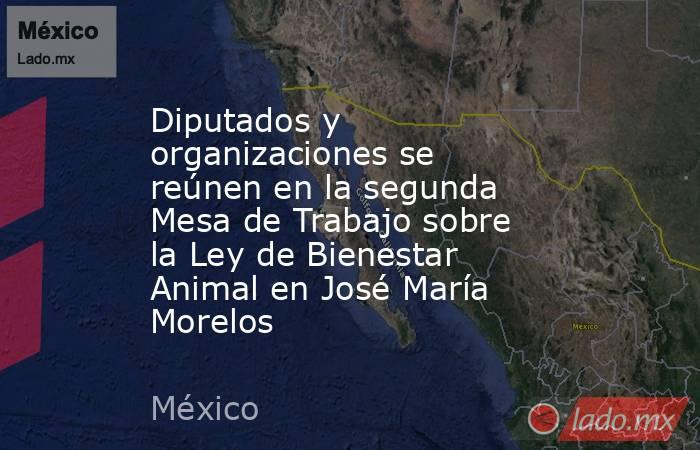 Diputados y organizaciones se reúnen en la segunda Mesa de Trabajo sobre la Ley de Bienestar Animal en José María Morelos. Noticias en tiempo real