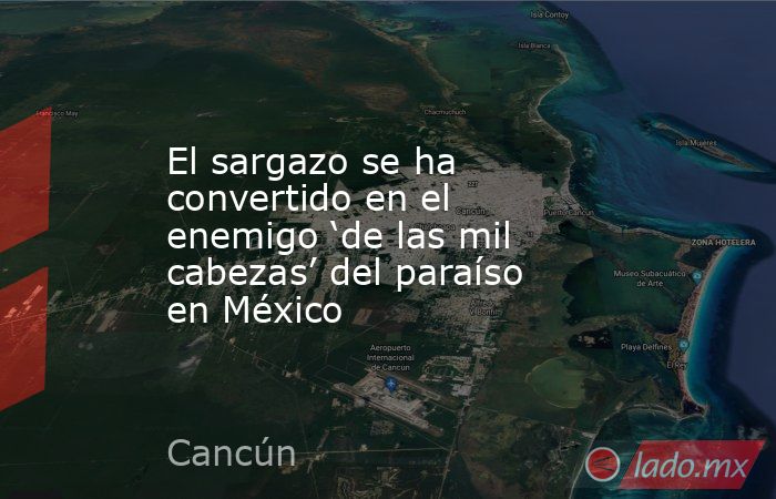 El sargazo se ha convertido en el enemigo ‘de las mil cabezas’ del paraíso en México. Noticias en tiempo real