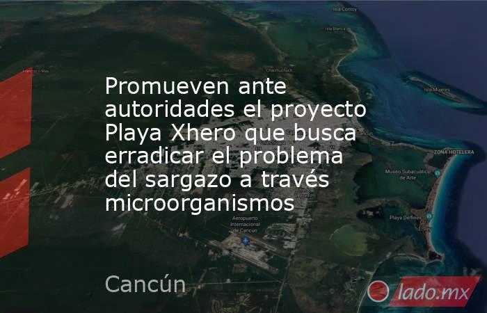 Promueven ante autoridades el proyecto Playa Xhero que busca erradicar el problema del sargazo a través microorganismos. Noticias en tiempo real