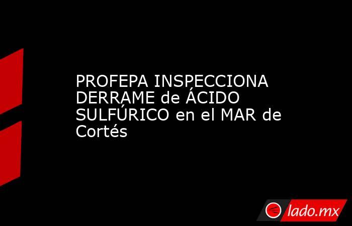 PROFEPA INSPECCIONA DERRAME de ÁCIDO SULFÚRICO en el MAR de Cortés. Noticias en tiempo real