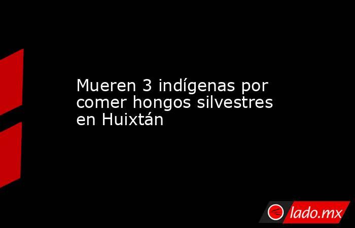 Mueren 3 indígenas por comer hongos silvestres en Huixtán. Noticias en tiempo real