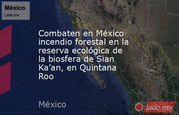 Combaten en México incendio forestal en la reserva ecológica de la biosfera de Sian Ka’an, en Quintana Roo. Noticias en tiempo real