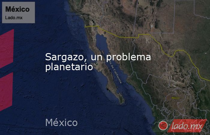 Sargazo, un problema planetario. Noticias en tiempo real