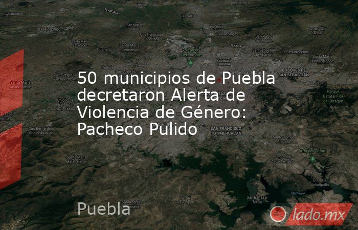 50 municipios de Puebla decretaron Alerta de Violencia de Género: Pacheco Pulido. Noticias en tiempo real