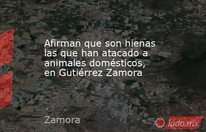 Afirman que son hienas las que han atacado a animales domésticos, en Gutiérrez Zamora. Noticias en tiempo real