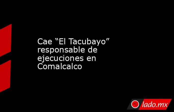 Cae “El Tacubayo” responsable de ejecuciones en Comalcalco. Noticias en tiempo real
