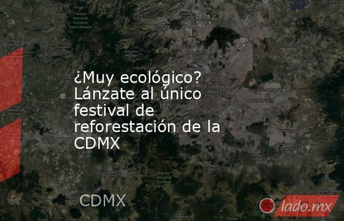 ¿Muy ecológico? Lánzate al único festival de reforestación de la CDMX. Noticias en tiempo real