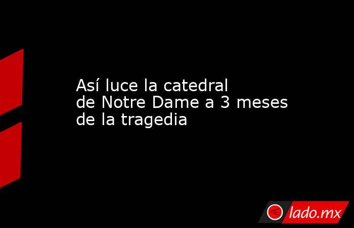 Así luce la catedral de Notre Dame a 3 meses de la tragedia. Noticias en tiempo real