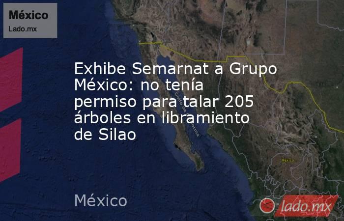 Exhibe Semarnat a Grupo México: no tenía permiso para talar 205 árboles en libramiento de Silao. Noticias en tiempo real