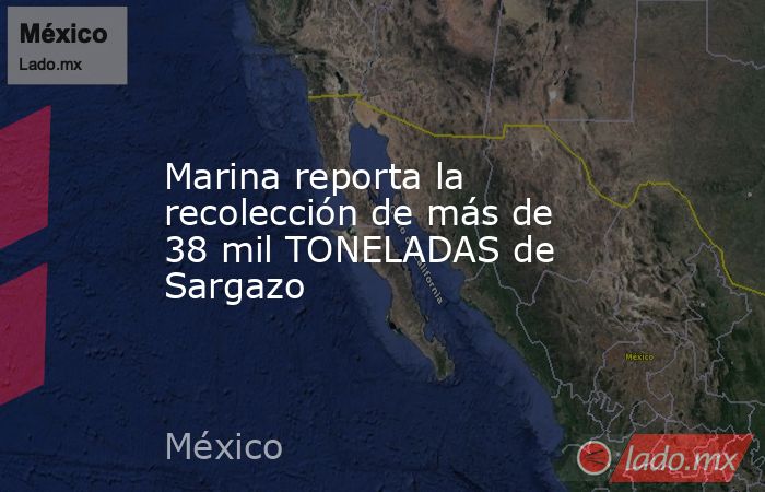 Marina reporta la recolección de más de 38 mil TONELADAS de Sargazo. Noticias en tiempo real
