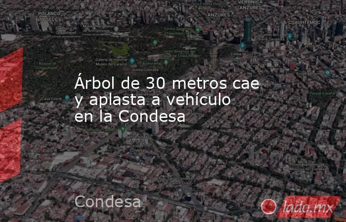 Árbol de 30 metros cae y aplasta a vehículo en la Condesa. Noticias en tiempo real