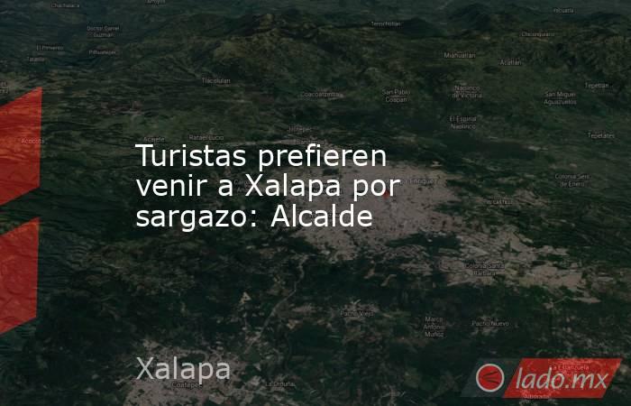 Turistas prefieren venir a Xalapa por sargazo: Alcalde. Noticias en tiempo real