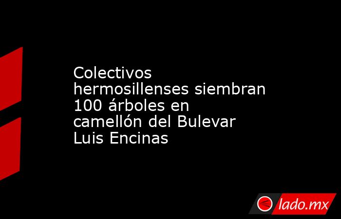 Colectivos hermosillenses siembran 100 árboles en camellón del Bulevar Luis Encinas. Noticias en tiempo real
