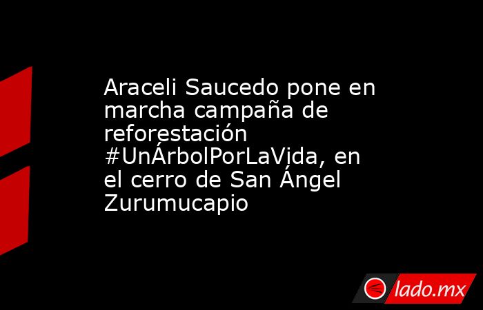Araceli Saucedo pone en marcha campaña de reforestación #UnÁrbolPorLaVida, en el cerro de San Ángel Zurumucapio. Noticias en tiempo real