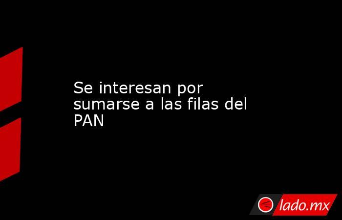 Se interesan por sumarse a las filas del PAN . Noticias en tiempo real