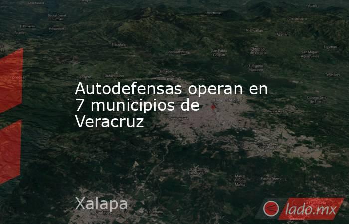 Autodefensas operan en 7 municipios de Veracruz. Noticias en tiempo real