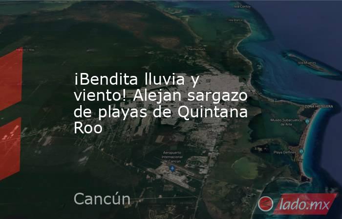 ¡Bendita lluvia y viento! Alejan sargazo de playas de Quintana Roo. Noticias en tiempo real