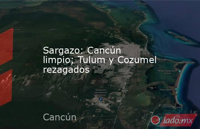 Sargazo: Cancún limpio; Tulum y Cozumel rezagados. Noticias en tiempo real