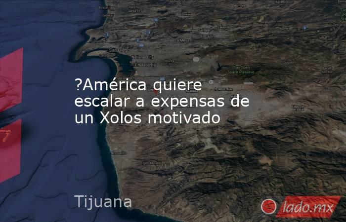 ?América quiere escalar a expensas de un Xolos motivado. Noticias en tiempo real