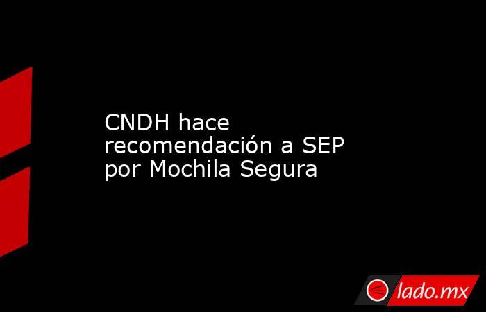 CNDH hace recomendación a SEP por Mochila Segura. Noticias en tiempo real
