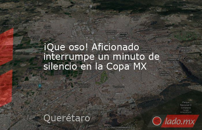 ¡Que oso! Aficionado interrumpe un minuto de silencio en la Copa MX. Noticias en tiempo real