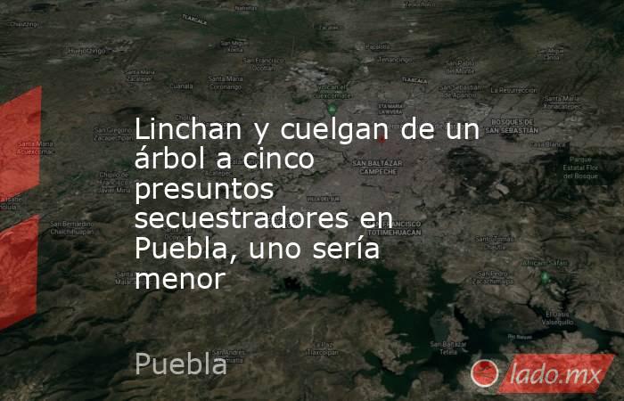 Linchan y cuelgan de un árbol a cinco presuntos secuestradores en Puebla, uno sería menor. Noticias en tiempo real
