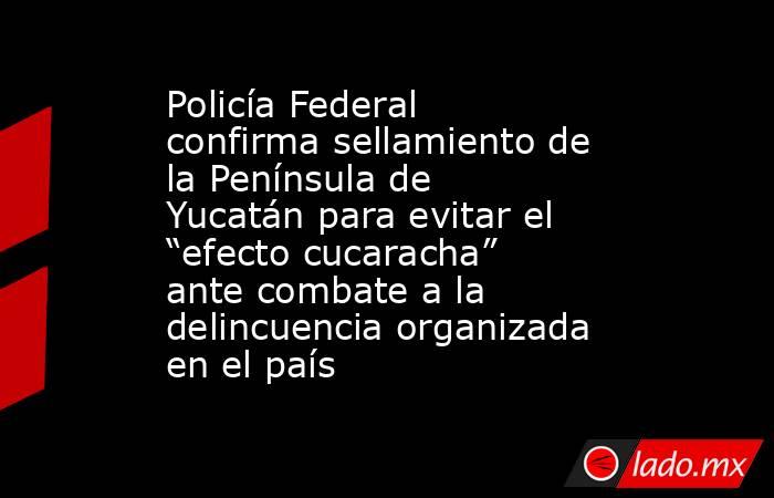 Policía Federal confirma sellamiento de la Península de Yucatán para evitar el “efecto cucaracha” ante combate a la delincuencia organizada en el país. Noticias en tiempo real