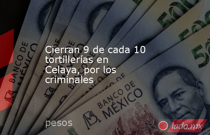 Cierran 9 de cada 10 tortillerías en Celaya, por los criminales. Noticias en tiempo real