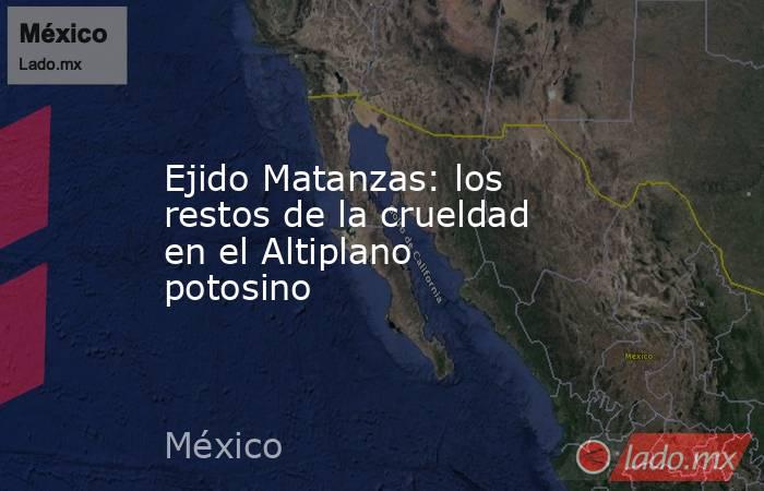 Ejido Matanzas: los restos de la crueldad en el Altiplano potosino. Noticias en tiempo real