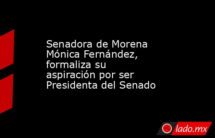 Senadora de Morena Mónica Fernández, formaliza su aspiración por ser Presidenta del Senado. Noticias en tiempo real
