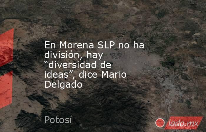 En Morena SLP no ha división, hay “diversidad de ideas”, dice Mario Delgado. Noticias en tiempo real