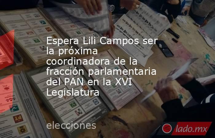 Espera Lili Campos ser la próxima coordinadora de la fracción parlamentaria del PAN en la XVI Legislatura. Noticias en tiempo real