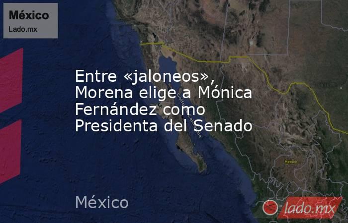 Entre «jaloneos», Morena elige a Mónica Fernández como Presidenta del Senado. Noticias en tiempo real