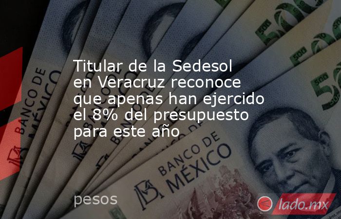 Titular de la Sedesol en Veracruz reconoce que apenas han ejercido el 8% del presupuesto para este año. Noticias en tiempo real